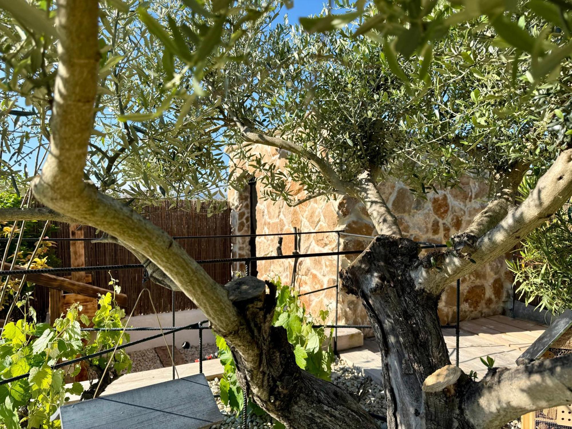 Une Nuit En Luberon Puyvert Esterno foto